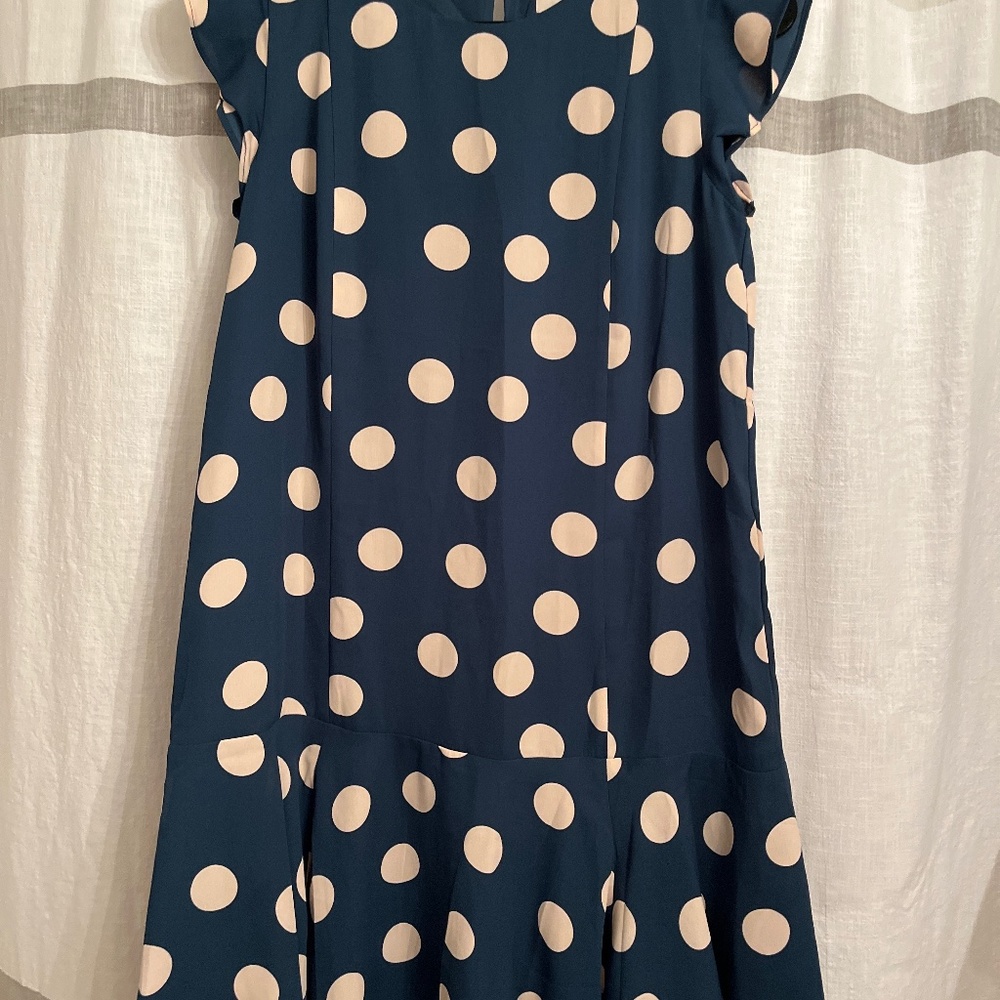 Loft Polka Dot shift dress